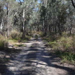 Snake Lagoon Track Turn Off - Lock 8 Track 