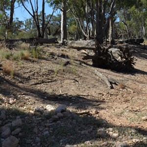 Upper Potterwalkagee Creek Crossing 