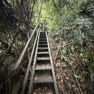 Ellenborough Falls