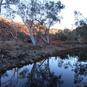 Three Goannas Pool 2008