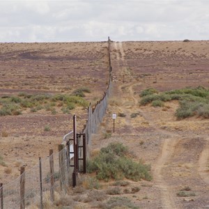 Dog Fence - Birdsville Track