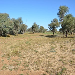 The valley where the tree is located