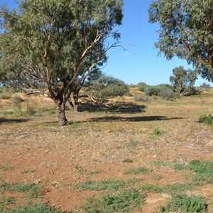 The valley where the tree is located