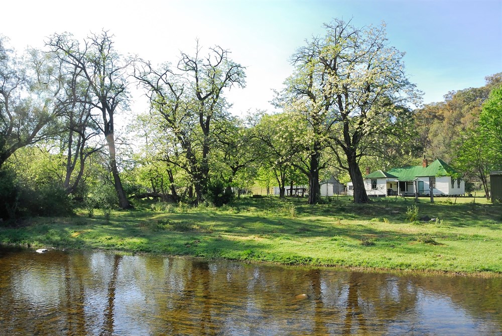 Moonan Brook Cottage NSW BOG Places