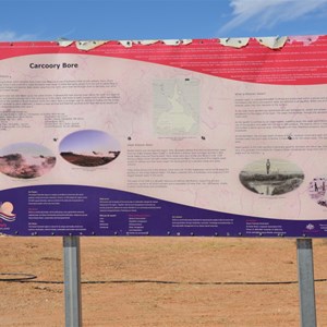 Carcory Bore 