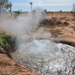 Carcory Bore 