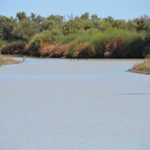 Cutta Burra Crossing - Eyre Creek