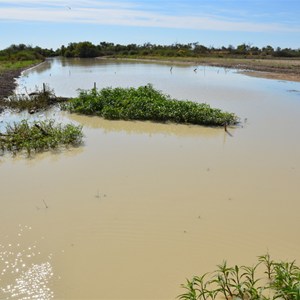 Cutta Burra Crossing - Eyre Creek