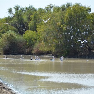 Cutta Burra Crossing - Eyre Creek