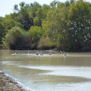Cutta Burra Crossing - Eyre Creek