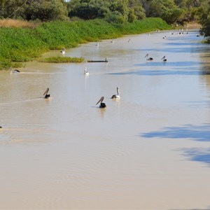 Eyre Creek from Glengyle Bridge