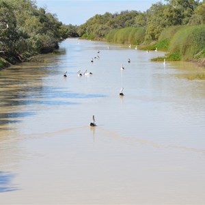 Eyre Creek from Glengyle Bridge