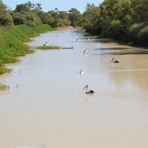Eyre Creek from Glengyle Bridge