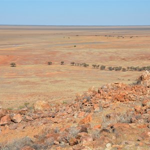 Vaughan Johnson Lookout