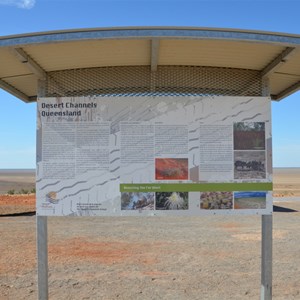 Vaughan Johnson Lookout