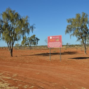 Waddi Trees - Boulia