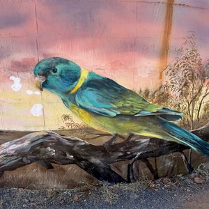 Cloncurry Lookout 