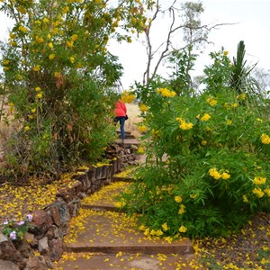 Cloncurry Unearthed Visitor Information Centre & Museum