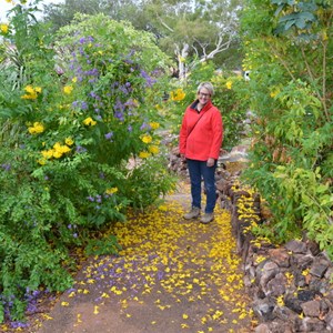 Cloncurry Unearthed Visitor Information Centre & Museum