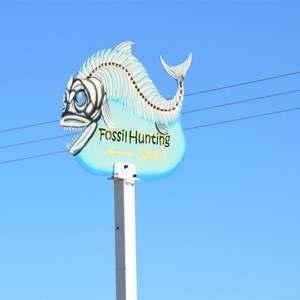 Fossil Hunting Site 1 Turn Off 