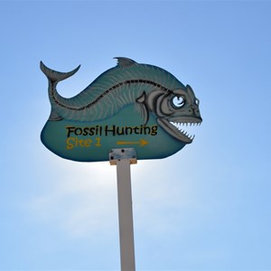 Fossil Hunting Site 1 Turn Off 
