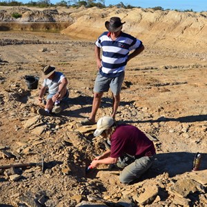 Fossil Hunting Site 1