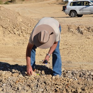 Fossil Hunting Site 1