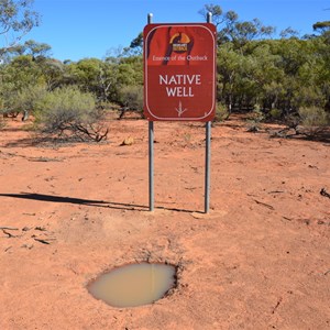 Native Well 