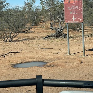 Native Well