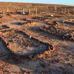 Innamincka Cemetery 