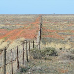 Dog Fence - Strzelecki Track