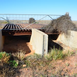 Dog Fence - Strzelecki Track