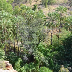 Upper Gorge Lookout