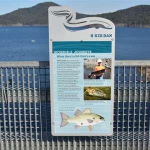 Hinze Dam Visitor Centre