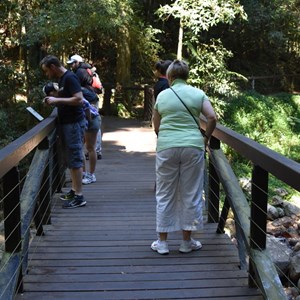 Natural Bridge, Springbrook National Park