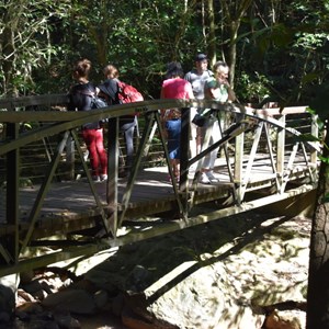 Natural Bridge, Springbrook National Park