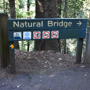 Natural Bridge, Springbrook National Park