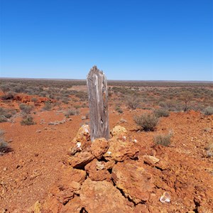 Paine & Barclay Survey Marker (1931) - Great Central Road