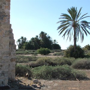 Dalhousie Springs Homestead (ruins)