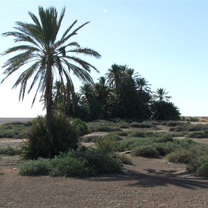 Dalhousie Springs Homestead (ruins)