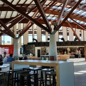 Inside the Arboretum - beautiful roof structure