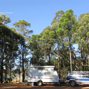 Logue Brook Campground