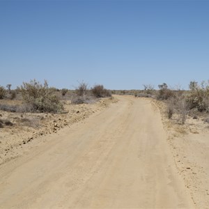 Warburton Track at the yards