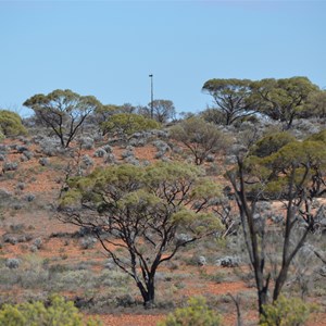 Old Communications Tower - Emu