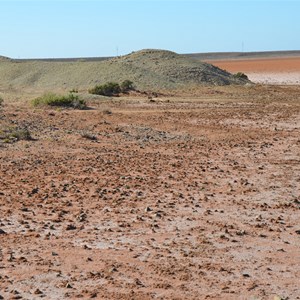 Sweet Nell Mine