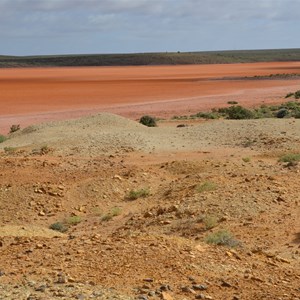 Sweet Nell Mine
