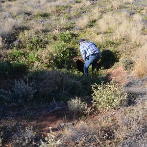 Aboriginal Native Well 