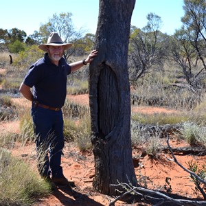 Coolamon Blaze Tree