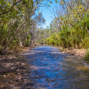 Goyder River