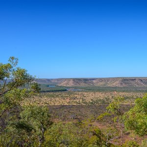 Lookout at Timber Creek